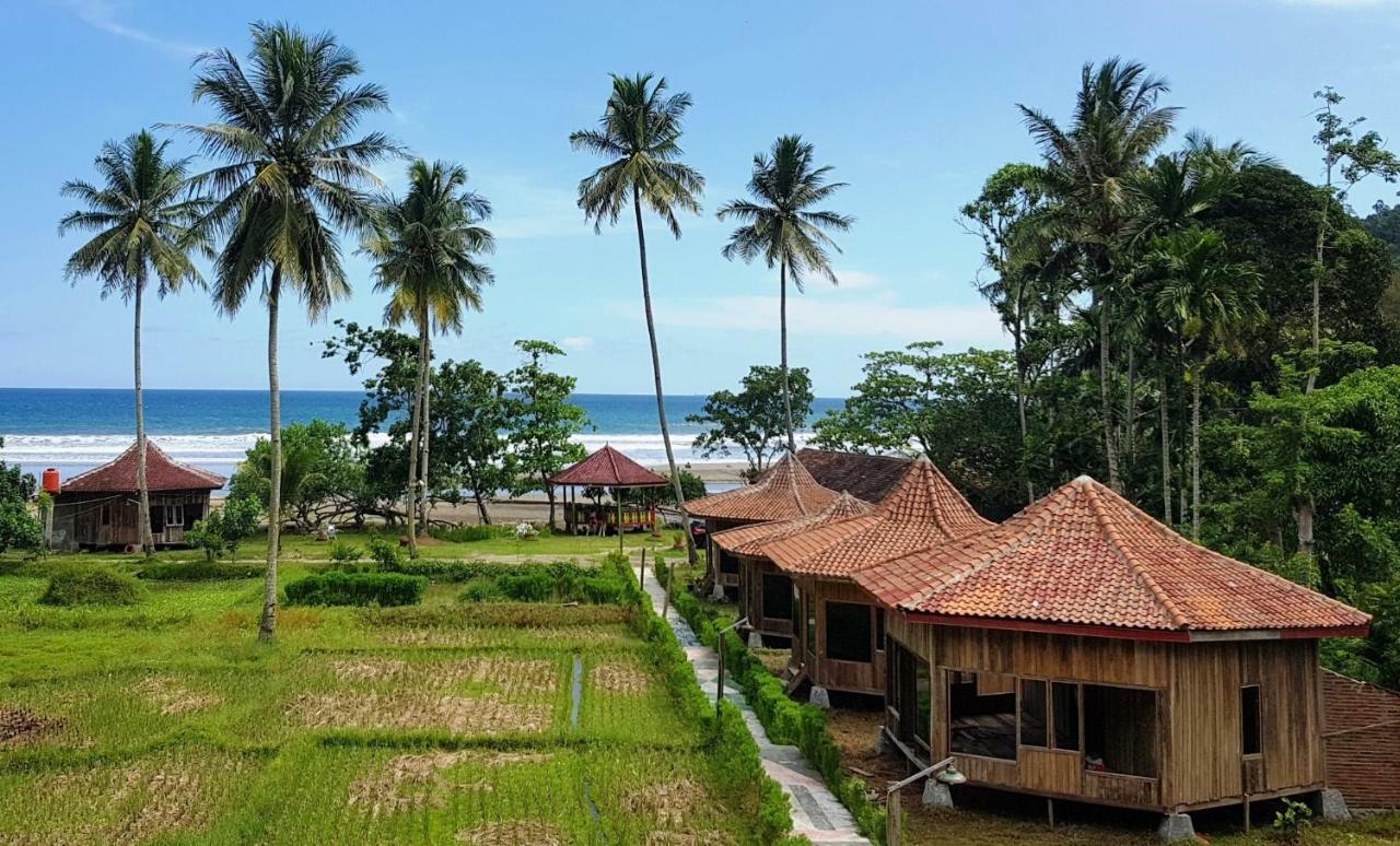 Revive Lampung Krui King Resort 外观 照片